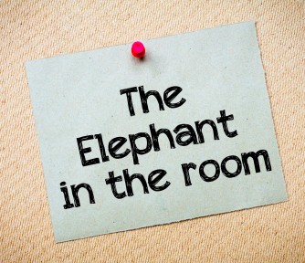 Nonprofit boardroom elephants and the 'nice guy' syndrome: A complex problem - Featured Photo