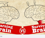 Understanding Trauma: Learning Brain vs Survival Brain - Featured Photo