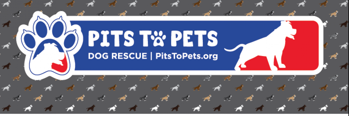 pits to pets rescue