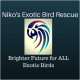 Niko's Exotic Bird Rescue