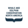 Whale and Dolphin Conservation