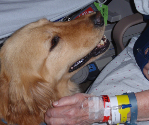 5 Ways Service Dogs Help People with Cancer - Featured Photo
